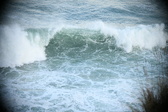 Enlarge photo 187