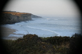 Enlarge photo 193