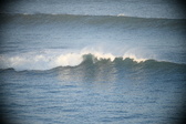 Enlarge photo 202