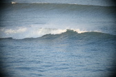 Enlarge photo 203