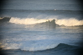 Enlarge photo 220