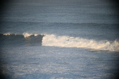 Enlarge photo 223