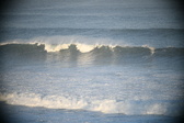 Enlarge photo 225