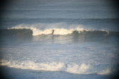 Enlarge photo 226