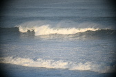 Enlarge photo 227