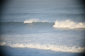 Enlarge photo 229