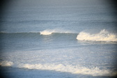 Enlarge photo 230