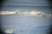 Enlarge photo 231
