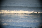 Enlarge photo 237
