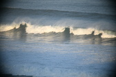 Enlarge photo 241