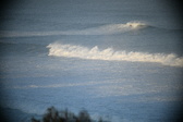 Enlarge photo 251