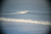 Enlarge photo 252