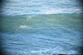 Enlarge photo 257