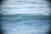 Enlarge photo 260