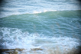Enlarge photo 263