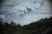 Enlarge photo 264