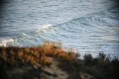 Enlarge photo 266