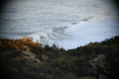 Enlarge photo 267