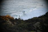 Enlarge photo 268
