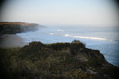 Enlarge photo 269