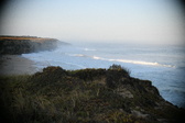 Enlarge photo 270