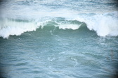 Enlarge photo 274