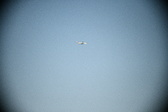 Enlarge photo 276