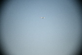 Enlarge photo 277