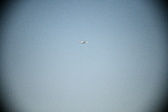 Enlarge photo 278