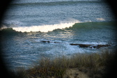 Enlarge photo 294