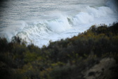 Enlarge photo 299