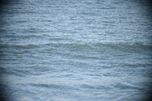 Enlarge photo 303