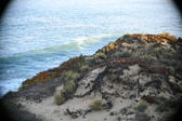 Enlarge photo 304