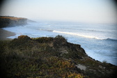 Enlarge photo 306
