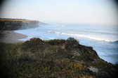 Enlarge photo 307