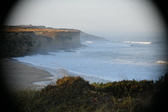 Enlarge photo 310