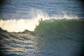 Enlarge photo 312