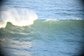 Enlarge photo 313