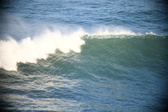 Enlarge photo 314