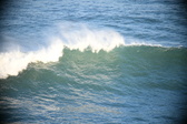 Enlarge photo 315