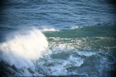 Enlarge photo 316