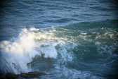 Enlarge photo 317