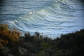 Enlarge photo 318