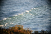 Enlarge photo 322