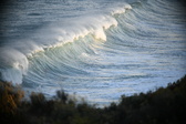 Enlarge photo 323