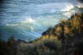 Enlarge photo 335