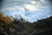 Enlarge photo 336