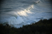 Enlarge photo 337