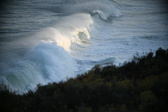 Enlarge photo 338