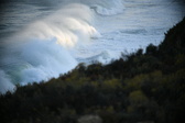 Enlarge photo 340